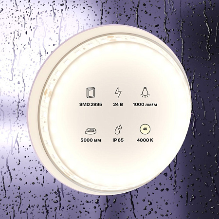 Светодиодная лента 9,6Вт/м 24V IP65 4000K Maytoni 10146 Светодиодная лента 9,6Вт/м 24V IP65 4000K Maytoni 10146