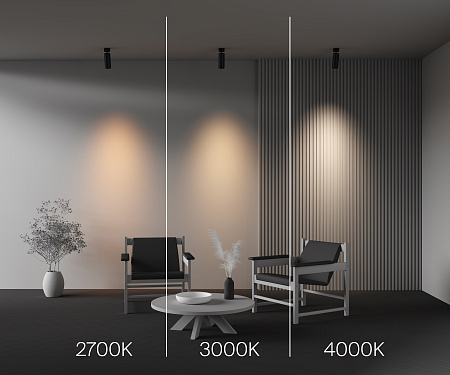 Спот светодиодный Maytoni FOCUS LED C055CL-L20W2.7-3-4K-M-B