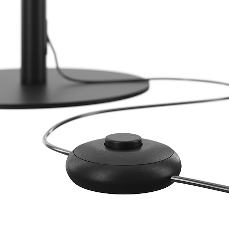 Торшер светодиодный Maytoni Ray Z012FL-L18B3K