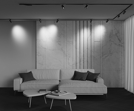 Трековый магнитный светодиодный светильник Maytoni Exility X Focus Zoom TR244-4-12WTW-DSZ-B