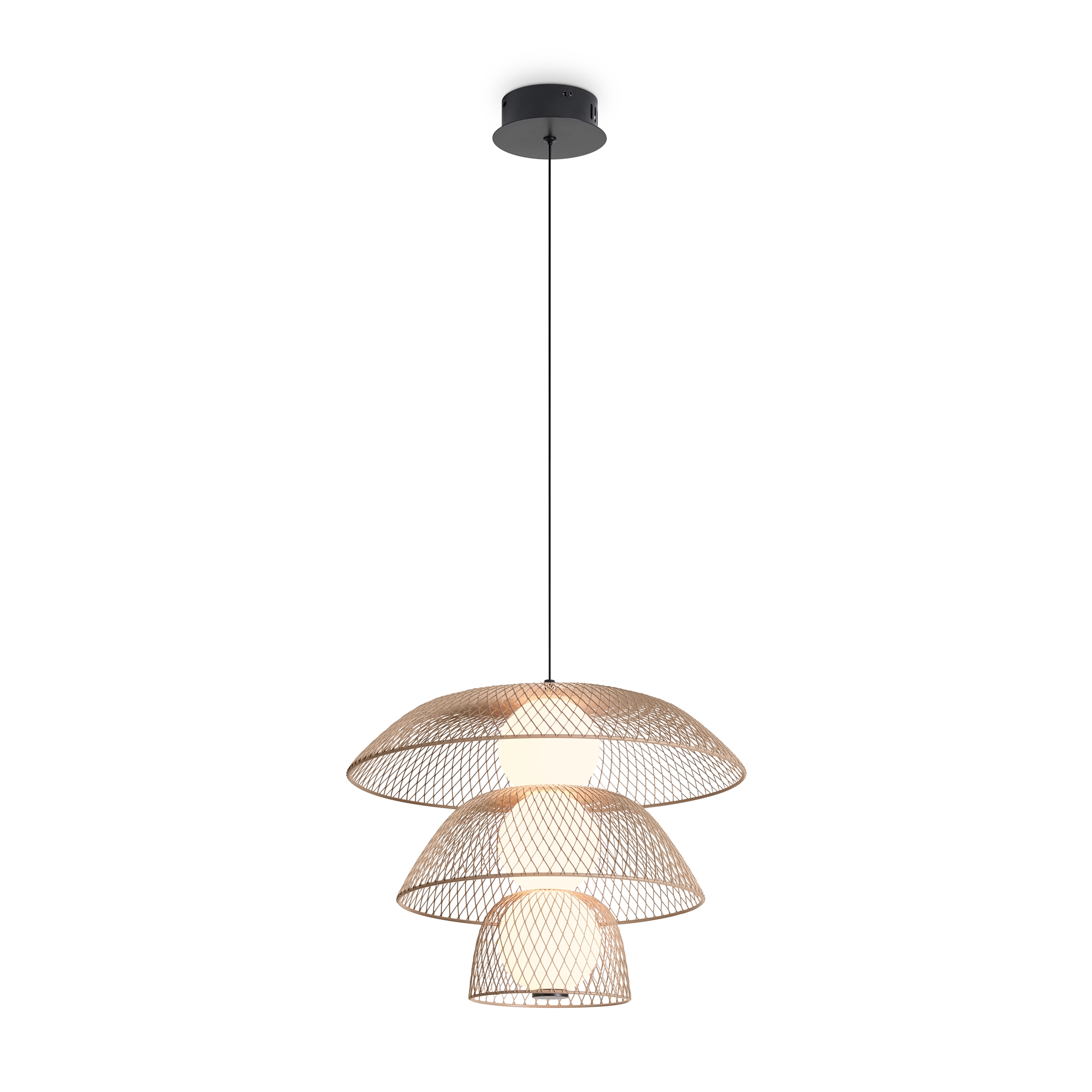 Светильник настенный светодиодный Freya Harper FR5545PL-L5BG