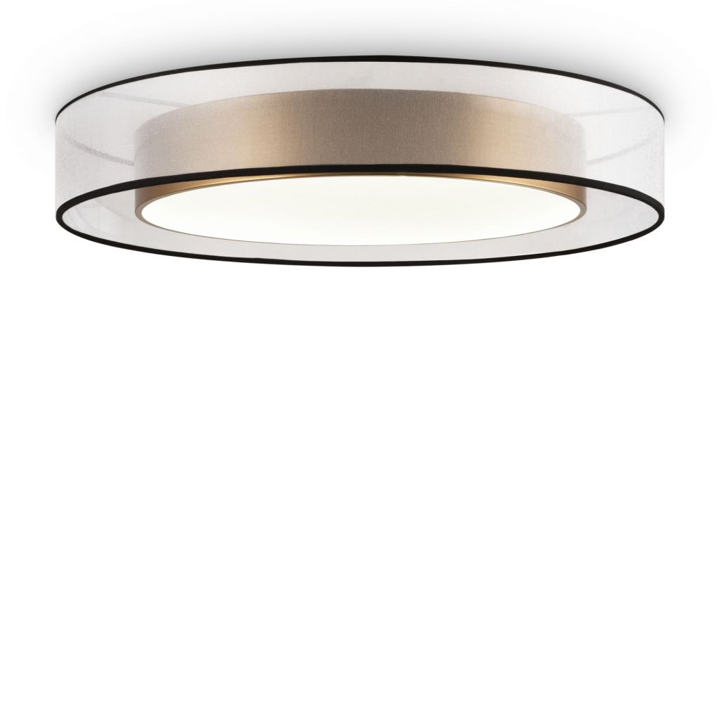 Потолочный светодиодный светильник Freya Zoticus FR6005CL-L48G