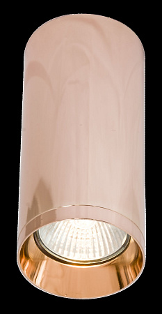 Светильник потолочный Maytoni Focus C010CL-01RG