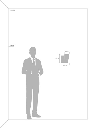 Светильник настенно-потолочный светодиодный Freya Siala 02 FR10027WL-L13W