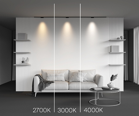 Трековый магнитный светодиодный светильник Maytoni Levity Points TR193-1-5W4K-M-B