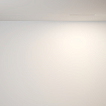 Трековый магнитный светодиодный светильник Maytoni Exility Parete TR106-2-12W3K-W