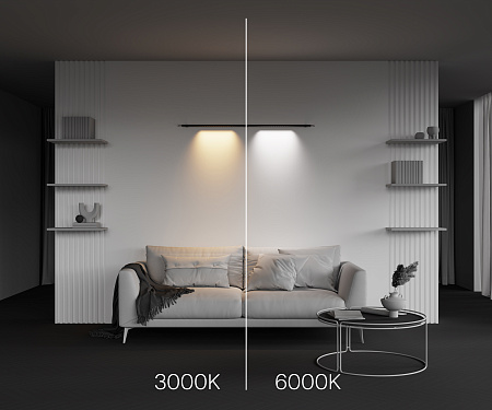 Трековый штанговый светодиодный светильник Maytoni Axity Points C101CL-L500-12W3-6K-B