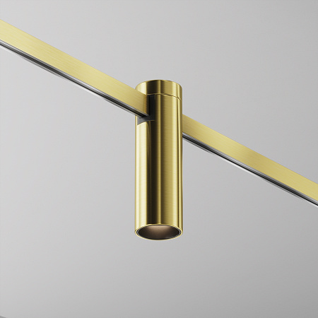 Трековый магнитный светодиодный светильник  Maytoni Flarity Focus Led TR143-1-5W3K-W-BS