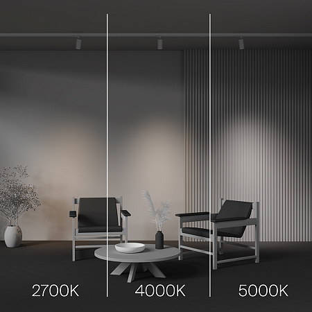 Трековый трехфазный светодиодный светильник Maytoni Trinity Focus Led TR197-3-12WCCT-M-W