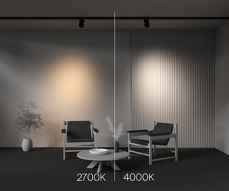 Трековый трехфазный светодиодный светильник Maytoni Trinity Alfa TR199-3-15W4K-M-B Трековый трехфазный светодиодный светильник Maytoni Trinity Alfa TR199-3-15W4K-M-B