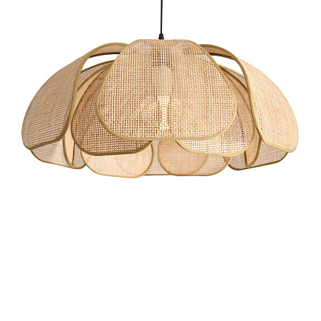 Светильник подвесной Freya Cocoon FR5529PL-01B