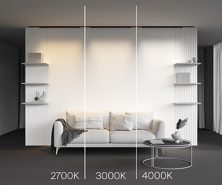 Трековый магнитный светодиодный светильник Maytoni Levity Basis TR192-1-21W4K-B Трековый магнитный светодиодный светильник Maytoni Levity Basis TR192-1-21W4K-B