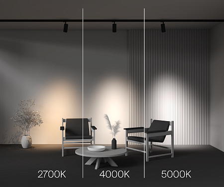 Трековый трехфазный светодиодный светильник Maytoni Trinity Focus Led TR197-3-30WCCT-M-B Трековый трехфазный светодиодный светильник Maytoni Trinity Focus Led TR197-3-30WCCT-M-B