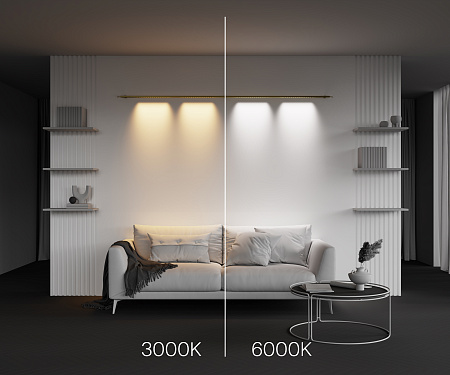 Трековый штанговый светодиодный светильник Maytoni Axity Points C101CL-L1000-24W3-6K-BS