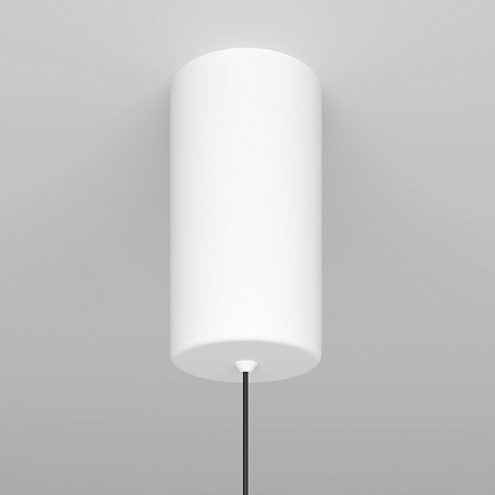 Светильник светодиодный подвесной Maytoni Ray P022PL-L20W3K