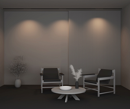 Трековый магнитный светодиодный светильник Maytoni Basity Points TR174-1-12WTW-M-B Трековый магнитный светодиодный светильник Maytoni Basity Points TR174-1-12WTW-M-B