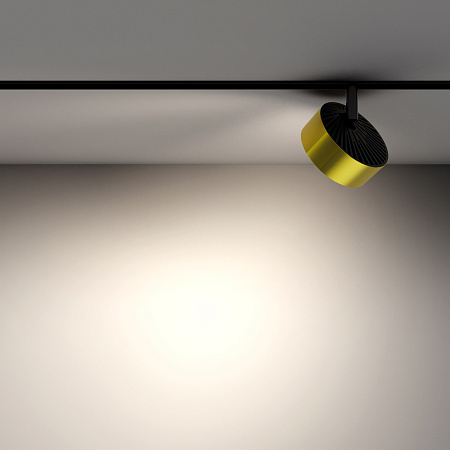 Трековый магнитный светодиодный светильник Maytoni Rado TR040-2-18W4K-BBS