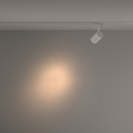 Трековый магнитный трехфазный светодиодный светильник Maytoni Trinity Vuoro TR029-3-10W3K-S-W