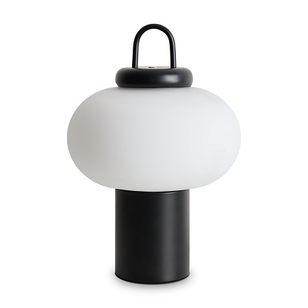 Настольная лампа светодиодная Freya Take FR6175TL-L10B