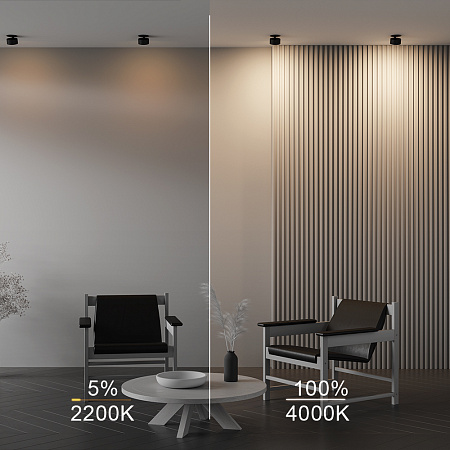 Светильник встраиваемый светодиодный Maytoni Onda DL024-12W-DTW-B Светильник встраиваемый светодиодный Maytoni Onda DL024-12W-DTW-B