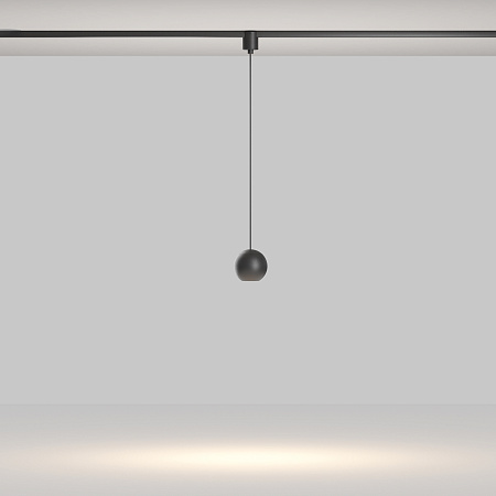 Трековый однофазный светодиодный светильник Maytoni Elasity Sfera TR165-1-8W3K-M-B