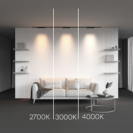 Трековый магнитный светодиодный светильник Maytoni Levity Points TR193-1-15W2.7K-M-B