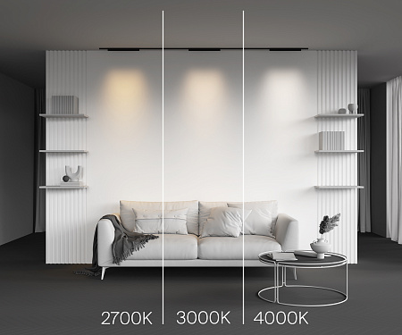 Трековый магнитный светодиодный светильник Maytoni Levity Points TR193-1-20W3K-M-B Трековый магнитный светодиодный светильник Maytoni Levity Points TR193-1-20W3K-M-B