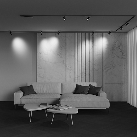 Трековый магнитный светодиодный светильник Maytoni Exility X Focus Zoom TR244-12W4K-B