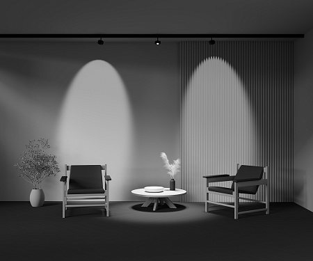 Трековый магнитный светодиодный светильник Maytoni Exility Lens TR217-4-15WTW-DS-B