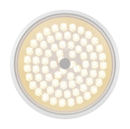 Потолочный светодиодный светильник Freya Cells FR10012CL-L24W