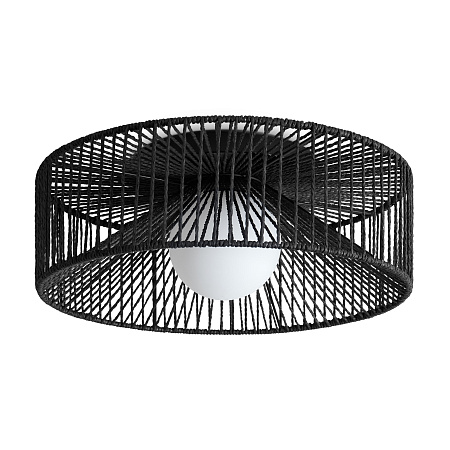 Светильник потолочный Freya Cottage FR5405CL-01B