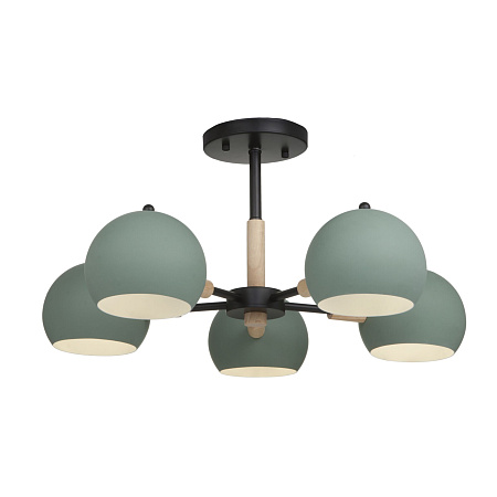 Люстра на штанге Freya Trisha FR5032CL-05B