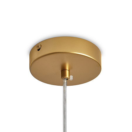 Светильник подвесной Freya Lattice FR5528PL-01BS