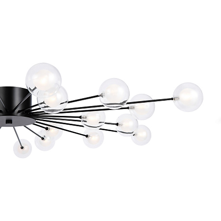 Люстра потолочная Freya Celebrity FR5242CL-24B1