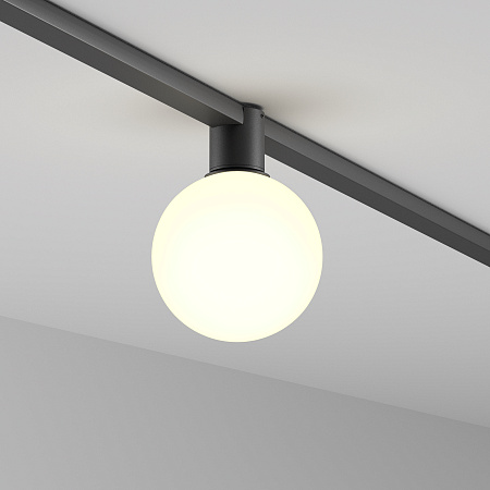 Трековый однофазный светодиодный светильник Maytoni Elasity Luna TR171-1-5W3K-WB