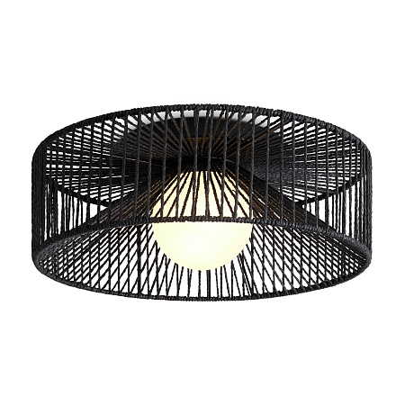 Светильник потолочный Freya Cottage FR5405CL-01B