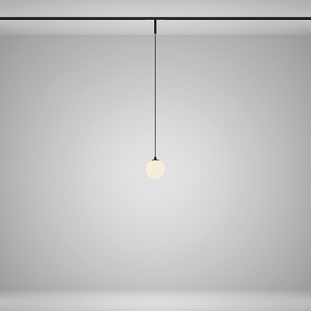 Трековый магнитный светодиодный светильник Maytoni Basity Luna TR178-1-5WTW-B