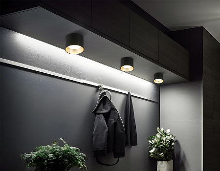 Светильник точечный потолочный Ambrella light TN52887