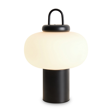 Настольная лампа светодиодная Freya Take FR6175TL-L10B