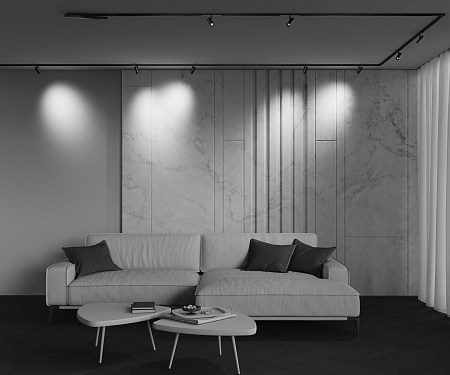 Трековый магнитный светодиодный светильник Maytoni Exility X Focus Led TR243-4-5WTW-DSZ-B