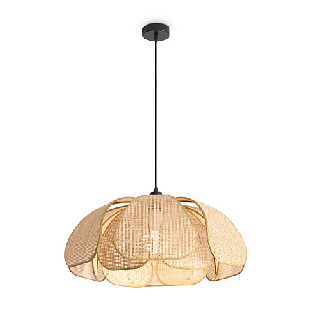 Светильник подвесной Freya Cocoon FR5529PL-01B