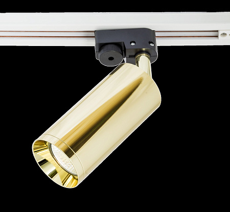 Трековый светильник для однофазного шинопровода Maytoni Unity Focus TR004-1-GU10-G