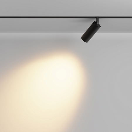 Трековый магнитный светодиодный светильник Maytoni EXILITY Focus LED TR032-2-12W2.7K-M-B