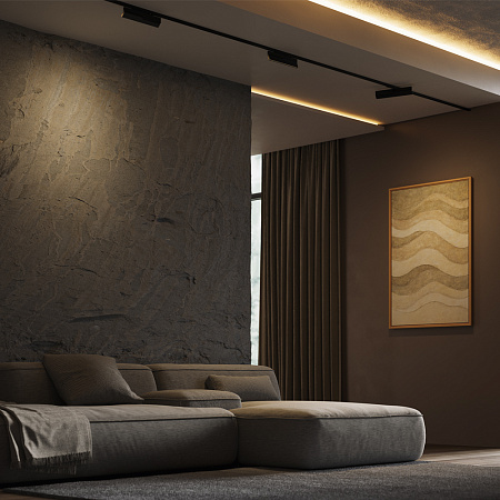 Трековый магнитный светодиодный светильник Maytoni Exility X Points Rot TR242-2-12W3K-B