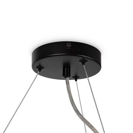 Люстра подвесная Maytoni Dallas MOD545PL-25B