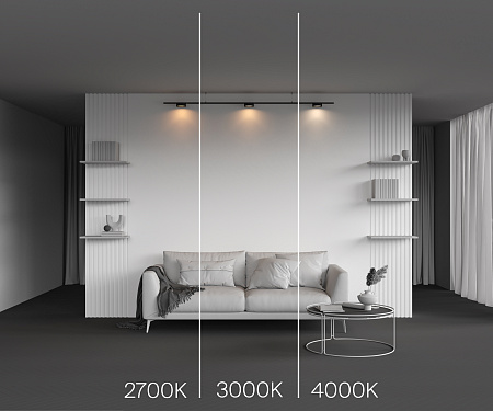 Трековый магнитный светодиодный светильник Maytoni Levity Zon TR189-1-12W3K-B Трековый магнитный светодиодный светильник Maytoni Levity Zon TR189-1-12W3K-B