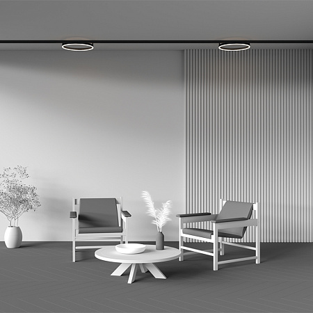 Трековый магнитный светодиодный светильник Maytoni Exility Rim TR227-2-24W3K-B