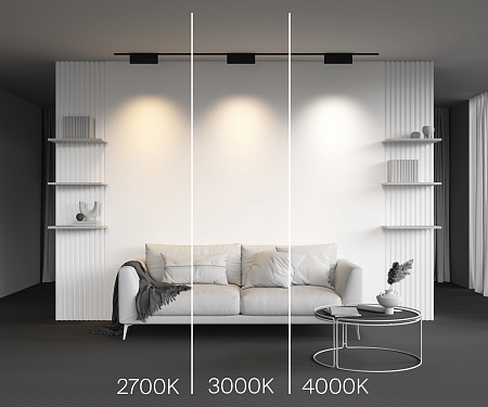 Трековый магнитный светодиодный светильник Maytoni Levity Points Rot TR194-1-12W4K-M-B