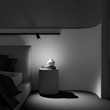 Трековый магнитный светодиодный светильник Maytoni EXILITY Focus LED TR032-2-20W2.7K-M-B