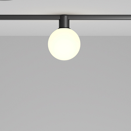 Трековый однофазный светодиодный светильник Maytoni Elasity Luna TR171-1-5W3K-WB